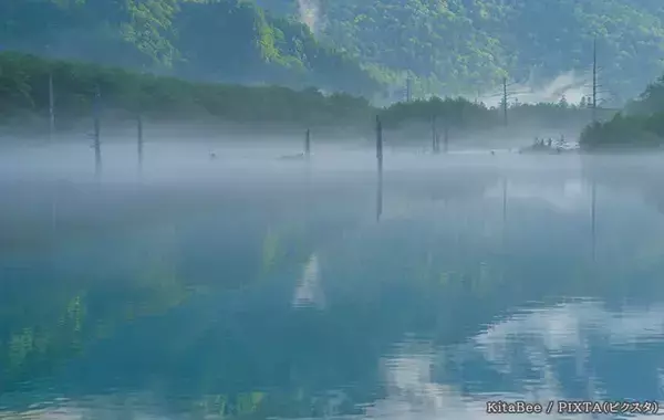 なんか怖い…クマへの『恐れ』の意識を『注意』に変える対策で「見える景色が変わってくる」