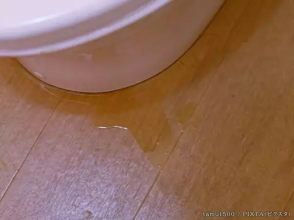 「トイレから水漏れしてる…」　すぐにやるべき対処法を、水道修理のプロに聞いた