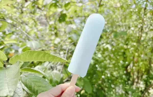 水筒に『保冷剤』とアイスを入れて放置　5時間後の結果に「これはすごい」