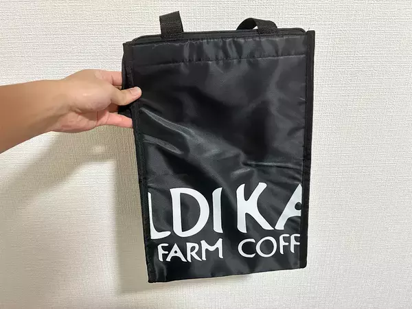 夏にカルディで見つけた『保冷バッグ』　620円と思えないほど「優秀！」