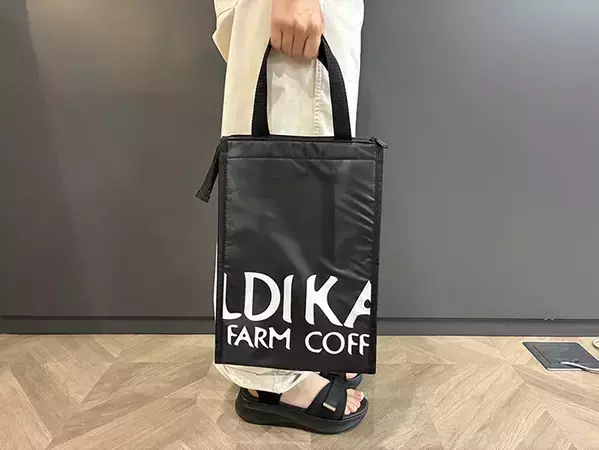 夏にカルディで見つけた『保冷バッグ』　620円と思えないほど「優秀！」