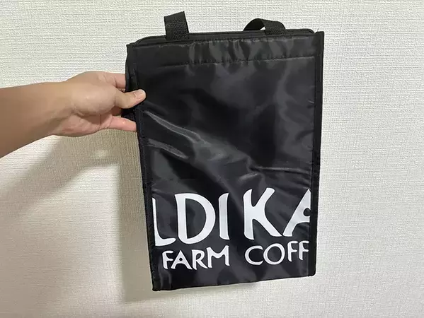 夏にカルディで見つけた『保冷バッグ』　620円と思えないほど「優秀！」