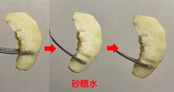 桃を『塩水、砂糖水、レモン水』に浸して30分後…　色の変化に「気にならない」「味もいい」