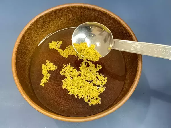 めんつゆに『小さじ1杯』入れた粉が？　キッコーマン直伝の『そうめんアレンジ』にドハマり