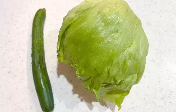 レタスとキュウリのサラダ　ドレッシング代わりに『1袋』かけると？「いつものよりおいしい」
