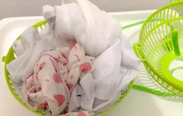 ダイソーで買った『昆虫ケース』　虫は入れないけど「買って正解！」　3つの活用アイデア