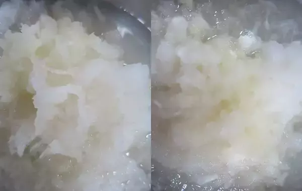 大根おろし器はどのタイプがいいのか　7つのタイプを検証した