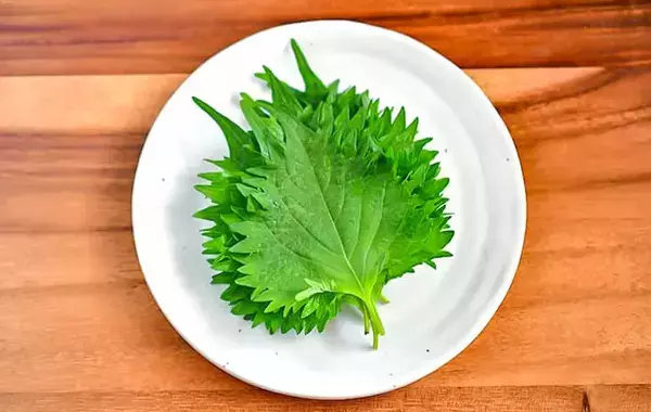 そうめんにトマトとレタス、あと1つのせるなら？　管理栄養士の『正解』はこちら【献立クイズ】
