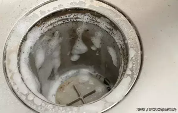 排水口のヌメリやニオイ、氷で防げる？　専門家に掃除と予防のコツを聞いた