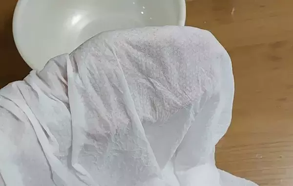 ダイソーで見つけた『丸いグッズ』　水につけるだけで…「持ち歩きたい」「これは便利」