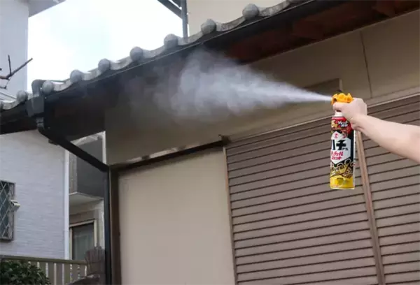 家にできたハチの巣、自分で取る前に？　KINCHOに聞いた注意点