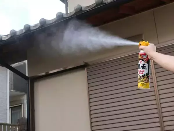 家にできたハチの巣、自分で取る前に？　KINCHOに聞いた注意点