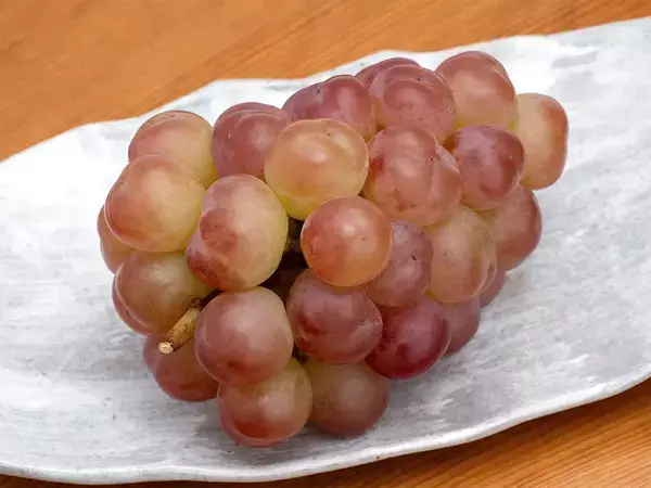 買ってきたブドウ、保管するなら房のまま？粒に分ける？　農家に聞いた
