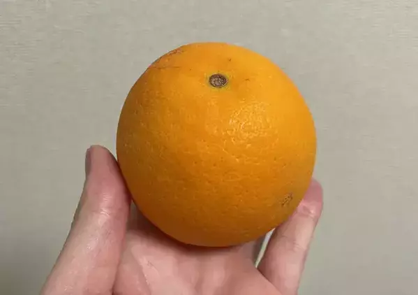 ちまちま切るのはもうやめた！　オレンジがパカッと開く切り方がこちら