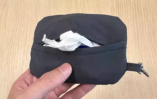 小物をバッグに入れるのはやめました　スリコのポケットティッシュ＆小物ポーチで「整理できる」「片づけやすい」