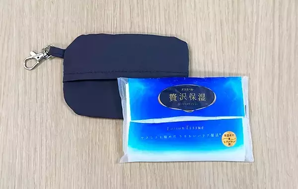 小物をバッグに入れるのはやめました　スリコのポケットティッシュ＆小物ポーチで「整理できる」「片づけやすい」