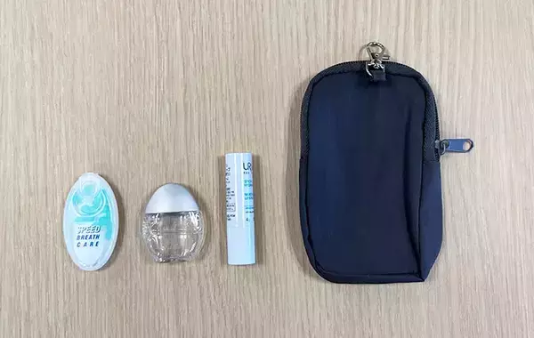 小物をバッグに入れるのはやめました　スリコのポケットティッシュ＆小物ポーチで「整理できる」「片づけやすい」