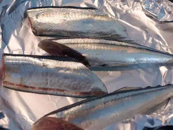 旬をむかえるサンマ『半年保存』できる方法があった！　魚のプロに正しい保存法を聞いた