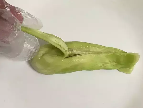 全部レンチンで作れます！　夏野菜を使った『煮びたし』レシピに「もっと作ればよかった」