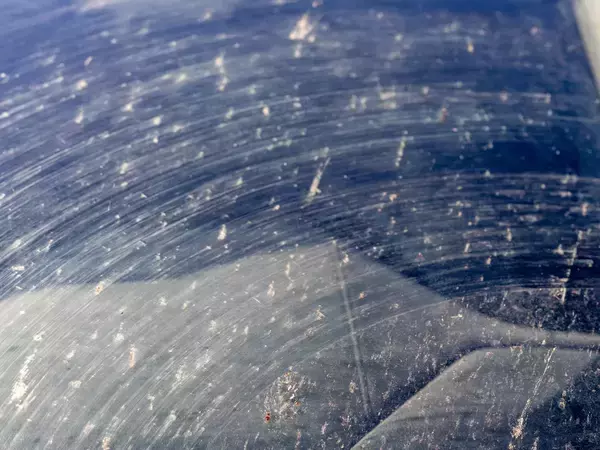 夏の『虫アタック』、水で落とせる？　フロントガラスについた時の対処法