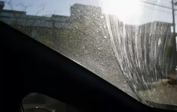 夏の『虫アタック』、水で落とせる？　フロントガラスについた時の対処法