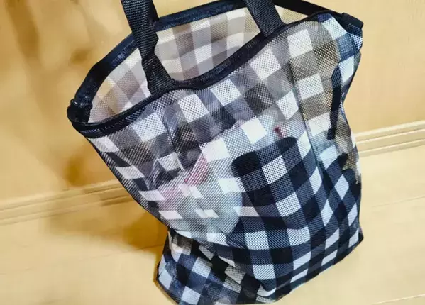 ダイソーの110円『洗濯できるトート』が優勝 マチ付きでたっぷり入って旅行の必需品に決定