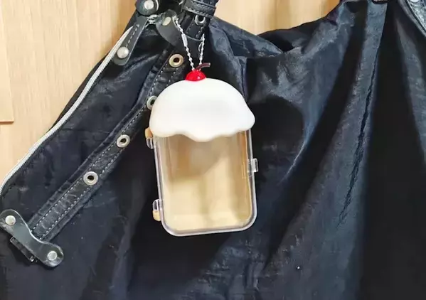 ダイソー『ケースキーホルダー』の使い方　小物やお菓子を入れるだけで？「便利でかわいい」