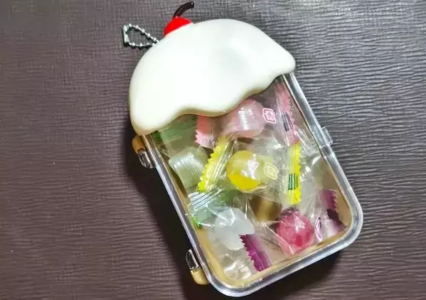 ダイソー『ケースキーホルダー』の使い方　小物やお菓子を入れるだけで？「便利でかわいい」