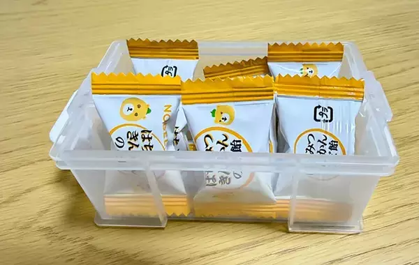 110円の『小さな衣装ケース』が優秀！　山田化学に聞いた使い道に「ピッタリ入った」【活用法4選】