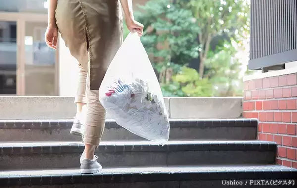 毎日使うゴミ袋、“コスパが上がる”サイズ選びは？　整理のプロに聞いた