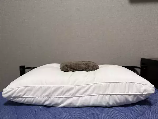 濡らしたペットシーツを凍らせると？　暑い日に役立つ活用法が、こちら