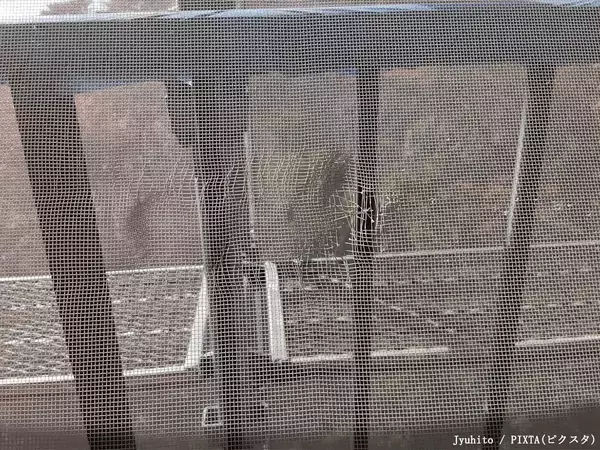 網戸、簡単に外れてしまう時は？　台風前に備えておきたいポイント