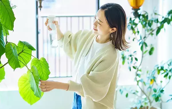 すぐ枯れるのは水やりのせい？　『健康』な植物を育てるには