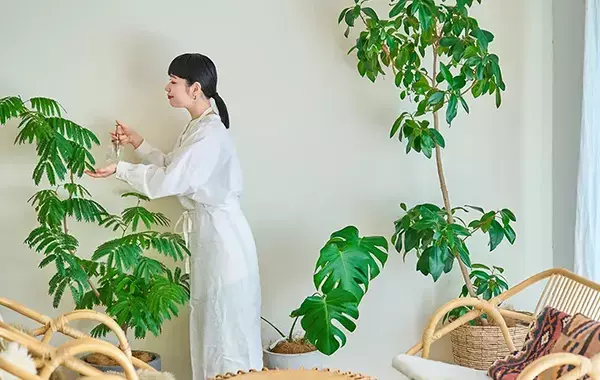 すぐ枯れるのは水やりのせい？　『健康』な植物を育てるには
