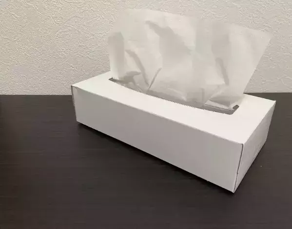 『ティッシュの空き箱』からフィルムを取り外して…　できあがったモノに拍手！【活用法4選】