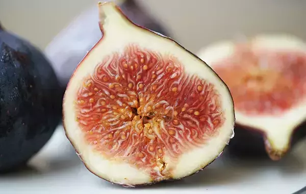 旬をむかえるイチジク、食べ頃サインの『正解』が出た！　青果物のプロが解説