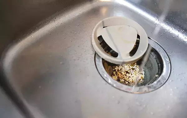 家に出るコバエ、キッチンと浴室は別物？　発生する原因と対策は