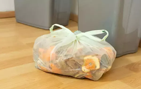 家に出るコバエ、キッチンと浴室は別物？　発生する原因と対策は