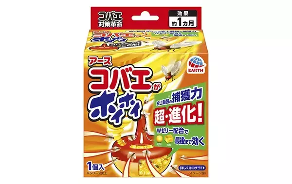 家に出るコバエ、キッチンと浴室は別物？　発生する原因と対策は