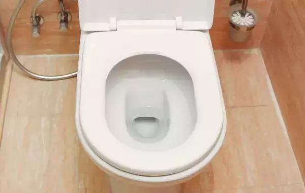 便器の蓋、旅行前に閉めてる？　長期不在時にやるべき、トイレのニオイ対策