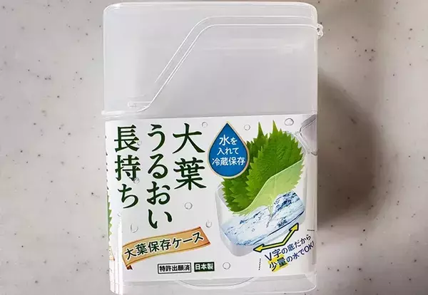 ダイソーの『大葉ケース』に別のものを入れてみた　意外な活用法に「コレは便利」