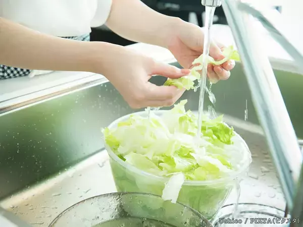 レタスを食べる時、手でちぎる？包丁で切る？　JA茨城むつみに聞いた『正解の食べ方』とは