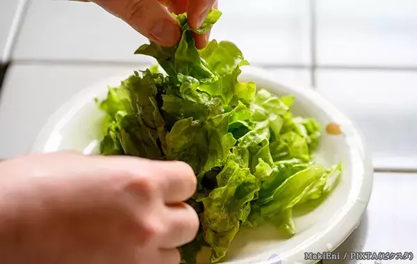 レタスを食べる時、手でちぎる？包丁で切る？　JA茨城むつみに聞いた『正解の食べ方』とは