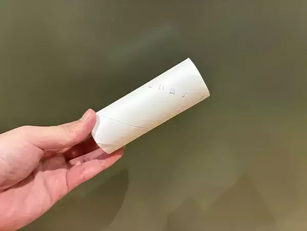 トイレットペーパーの芯1個を破いたら？　トイレの『万が一』に便利な裏ワザ