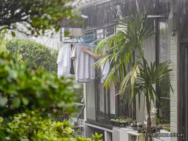 雨で濡れた服、乾かせば大丈夫と思ってない？　洗濯研究家が教える「正解の対処法」