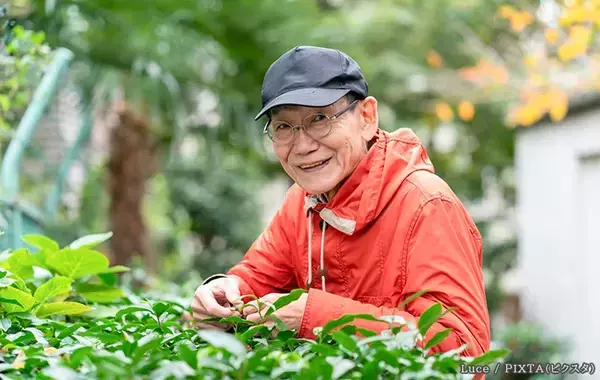 隣の家から大量の落ち葉が…「清掃費を払って」と請求できる？　弁護士の回答は
