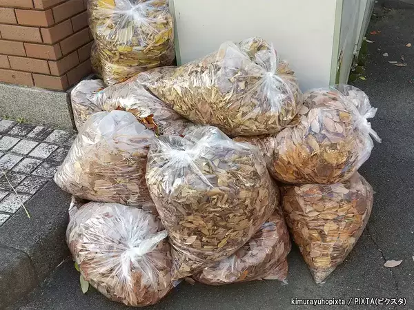 隣の家から大量の落ち葉が…「清掃費を払って」と請求できる？　弁護士の回答は
