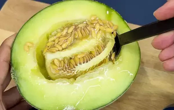 2つに割ったメロンを冷凍庫に入れて？　できた簡単おやつが、こちら！