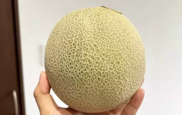 2つに割ったメロンを冷凍庫に入れて？　できた簡単おやつが、こちら！