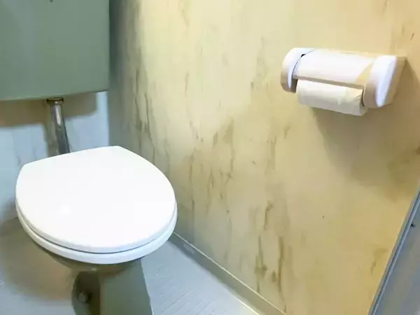 ユニットバスの壁に『ブックエンド』を引っつけたら…　トイレの悩みが解決する活用法